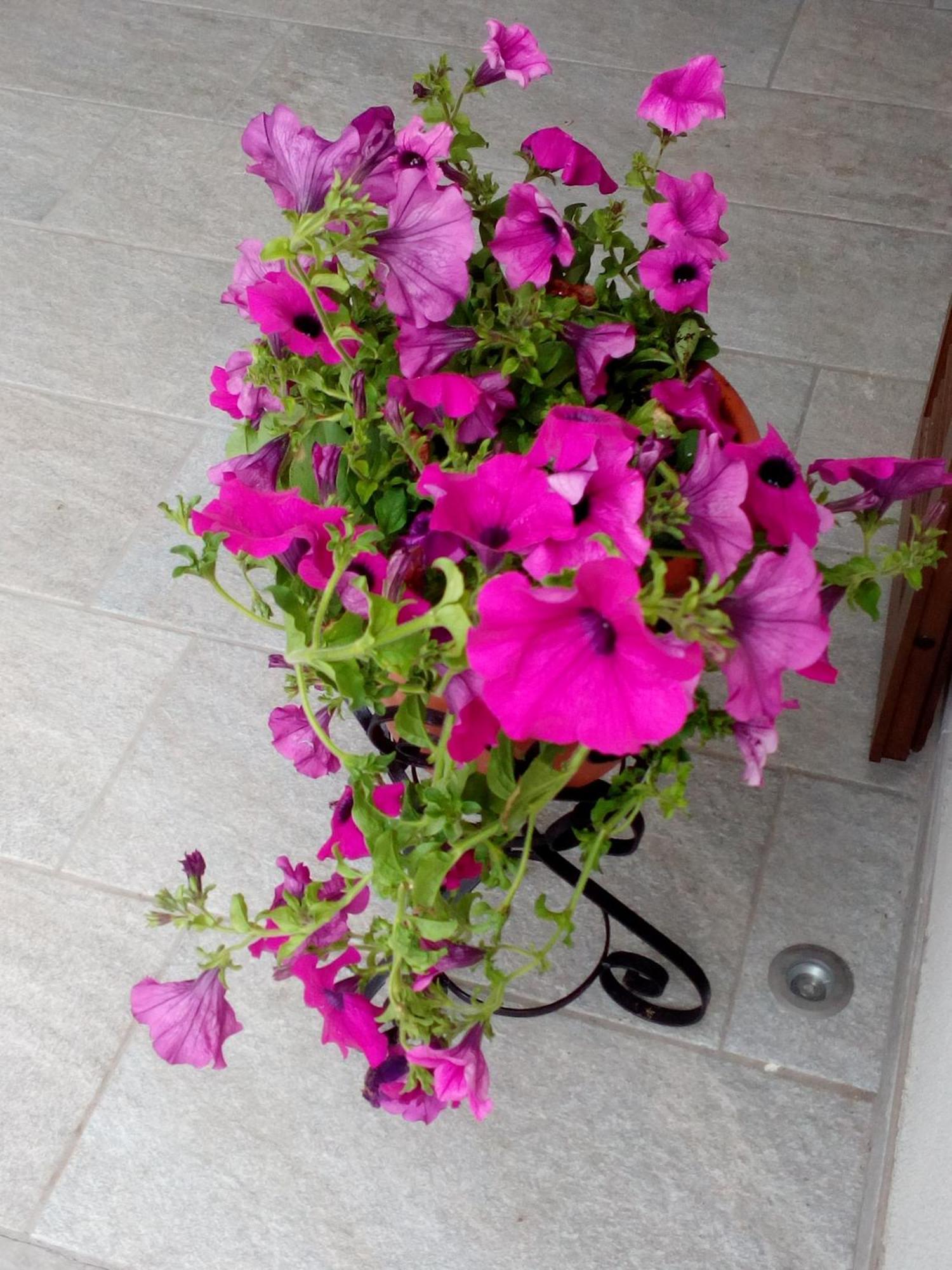 Agriturismo Corte Fontana Salò Oda fotoğraf